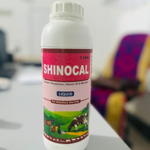 SHINOCAL