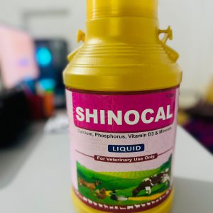 SHINOCAL