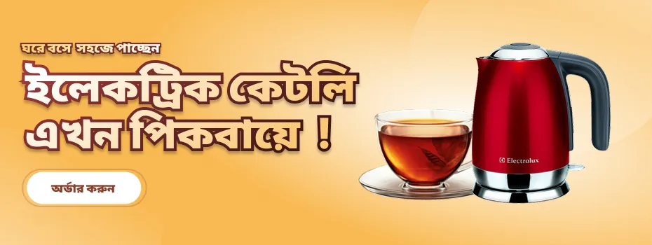 ইলেকট্রনিক্স এখন পিকবায়ে ! (1)_converted