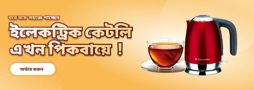 ইলেকট্রনিক্স এখন পিকবায়