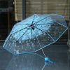 Transparent 3-Fold Umbrella 22-Inch – Clear Bubble Rain & Sun Protection